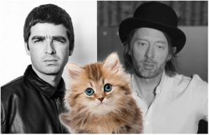 Noel Gallagher, A Cat and Radiohead